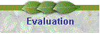 Evaluation