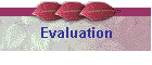 Evaluation