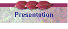 Presentation